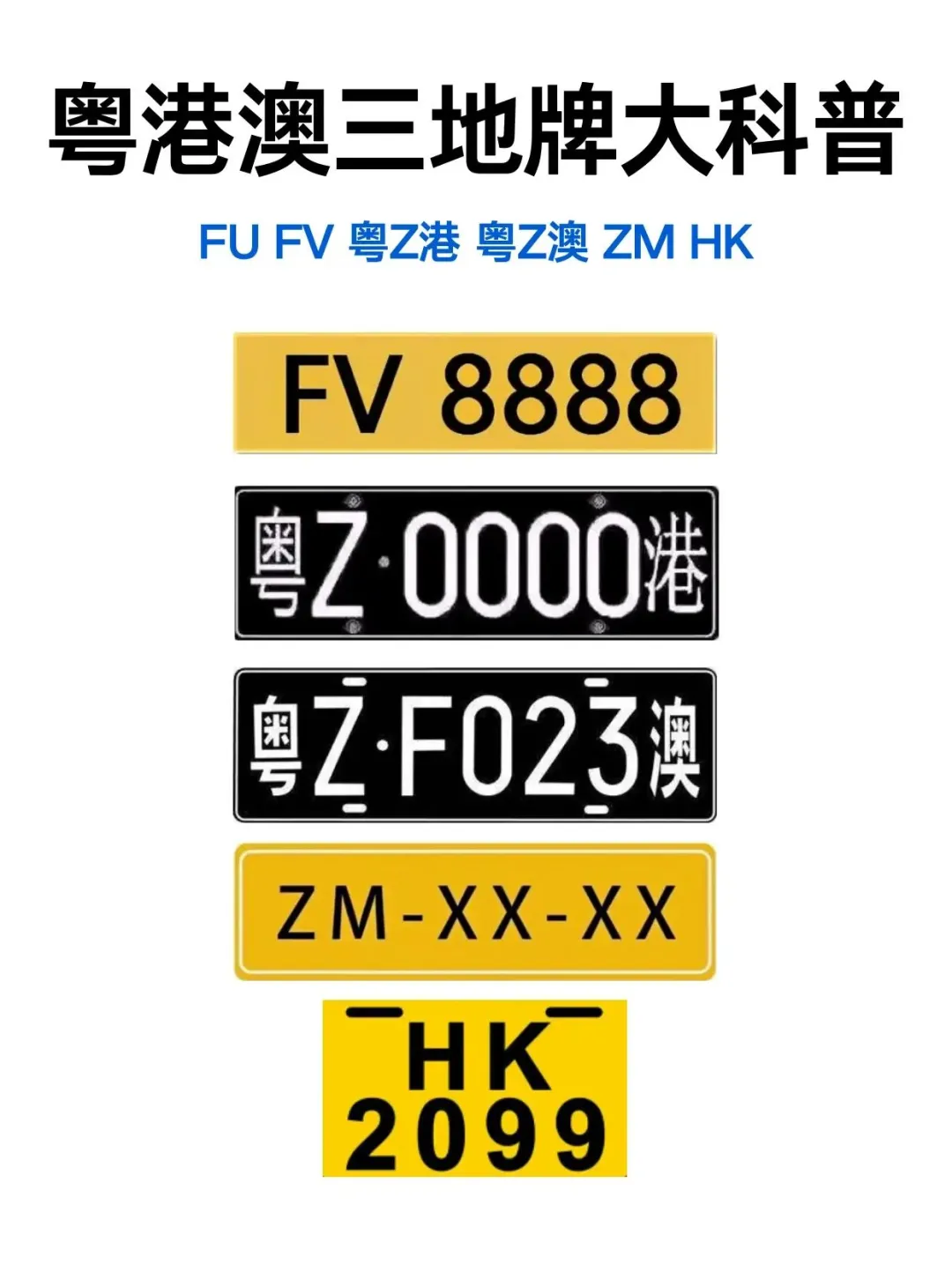 粤港两地车牌（FV和粤Z）是粤港澳大湾区融合的独特标识